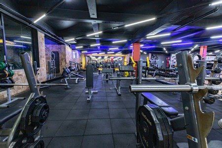 gavioes academia|academia gaviões são paulo.